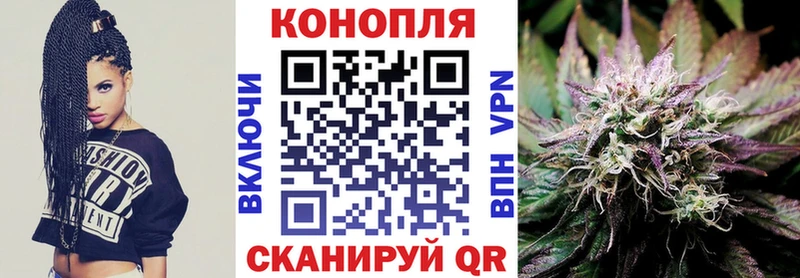 mega tor  Приморск  Конопля Amnesia 